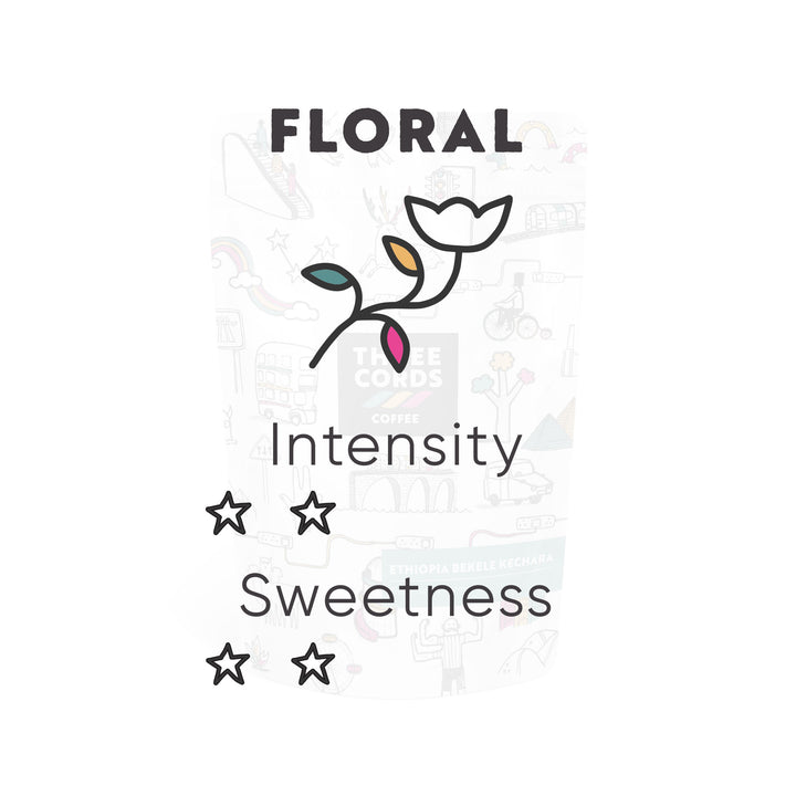 Ethiopia Bekele Kechara