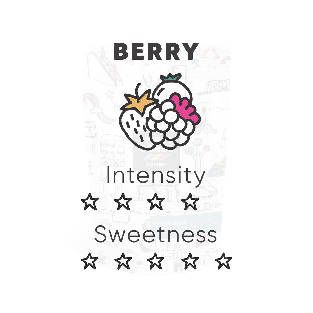 Nicaragua Finca Samaria